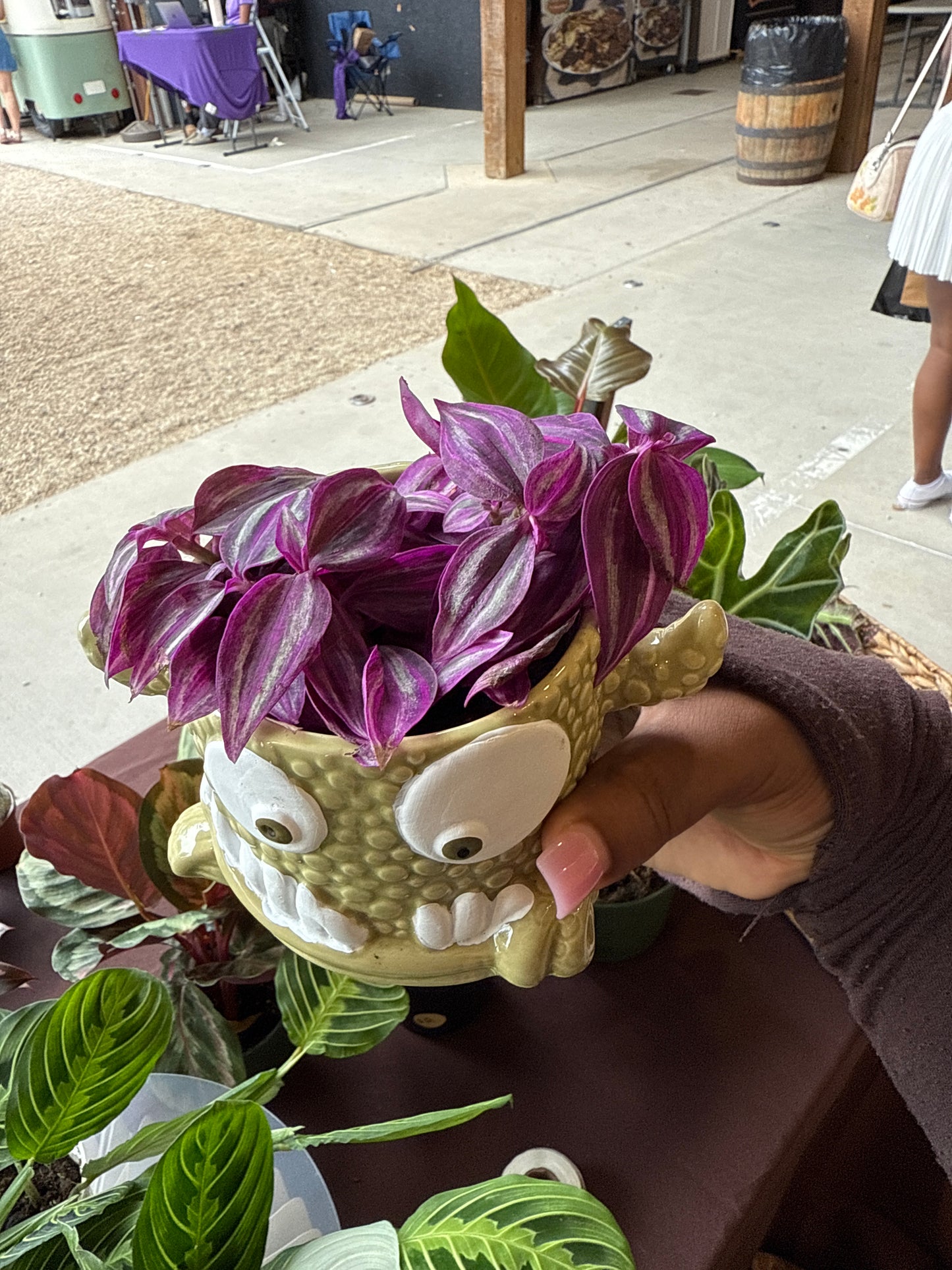 Snaggle Tooth Plant (Halloween)