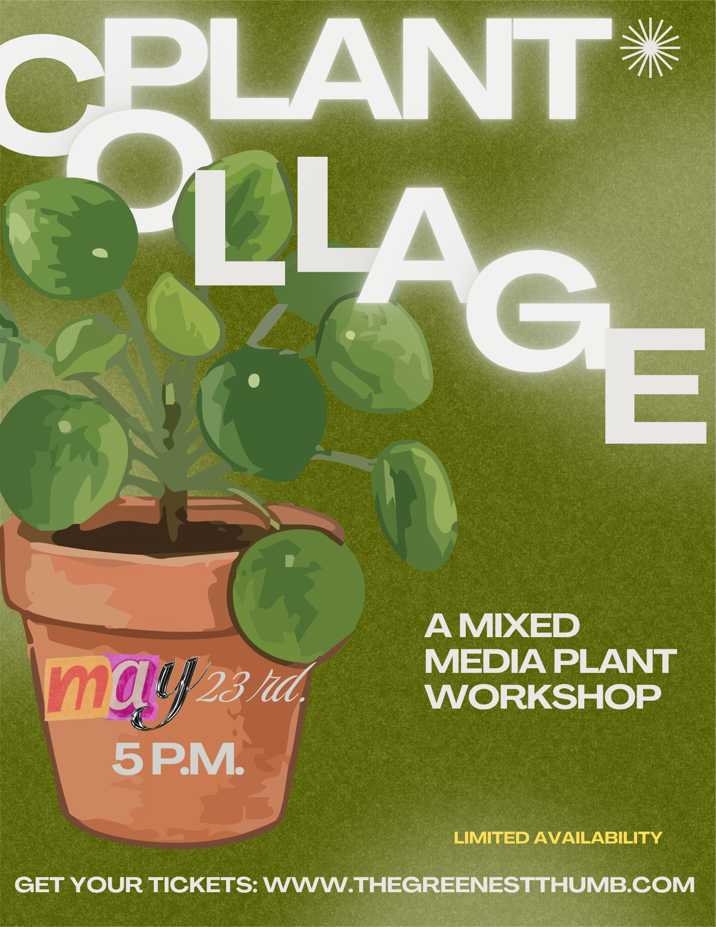Plant, Paint, & Create: A Mood board Planter Workshop