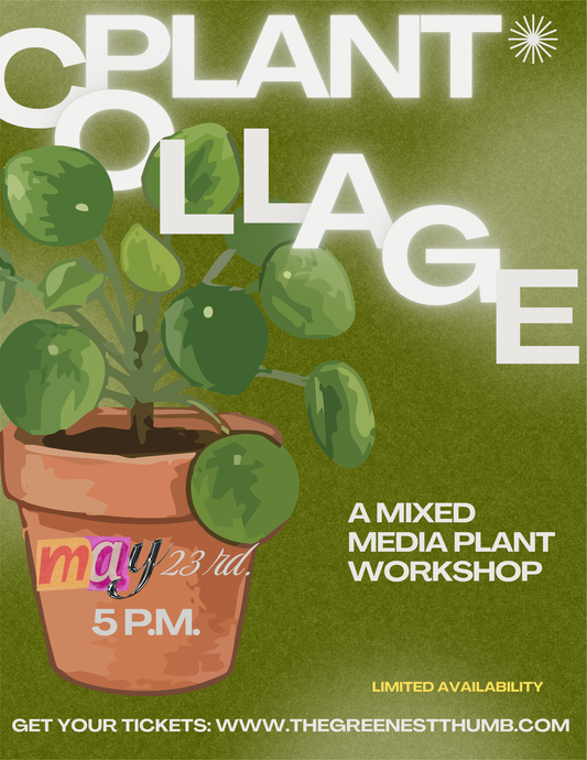 Plant, Paint, & Create: A Mood board Planter Workshop