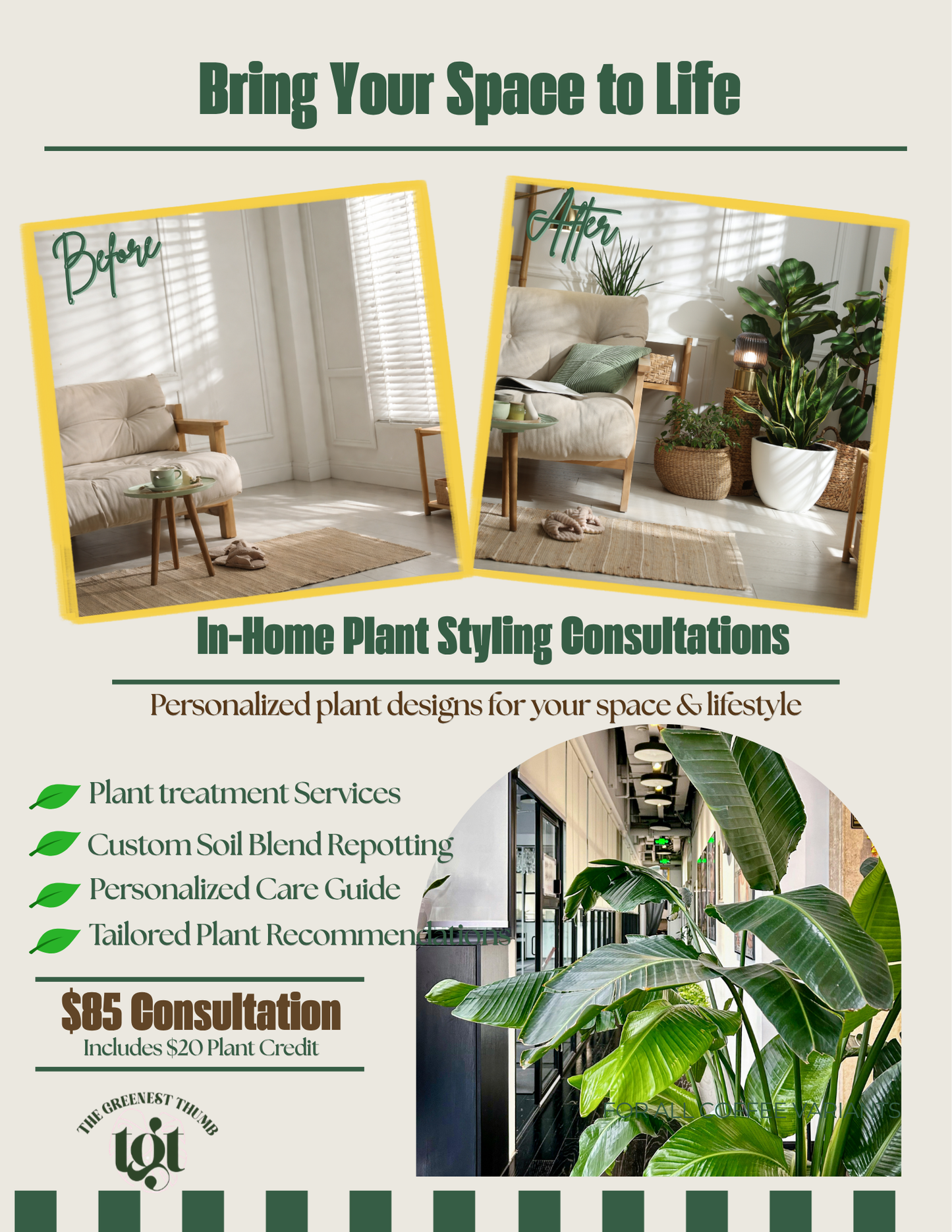 In-Home Plant Treatment & Styling Consultations