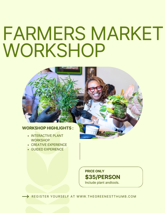Farmers Market Kokedama Class